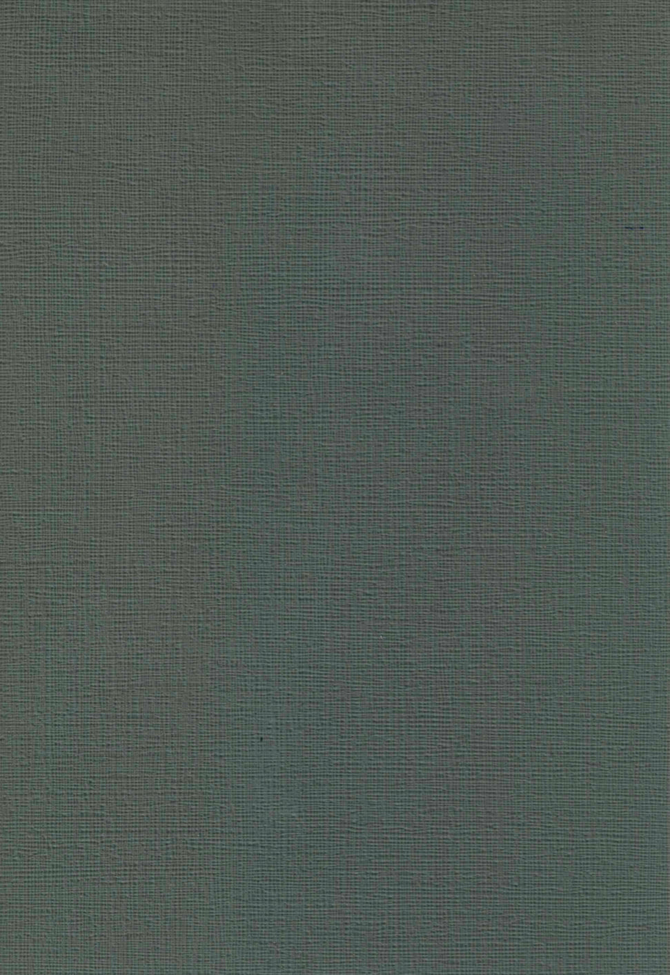 Germany AGOFORM CANVAS Non-Slip Mat (2 colours)