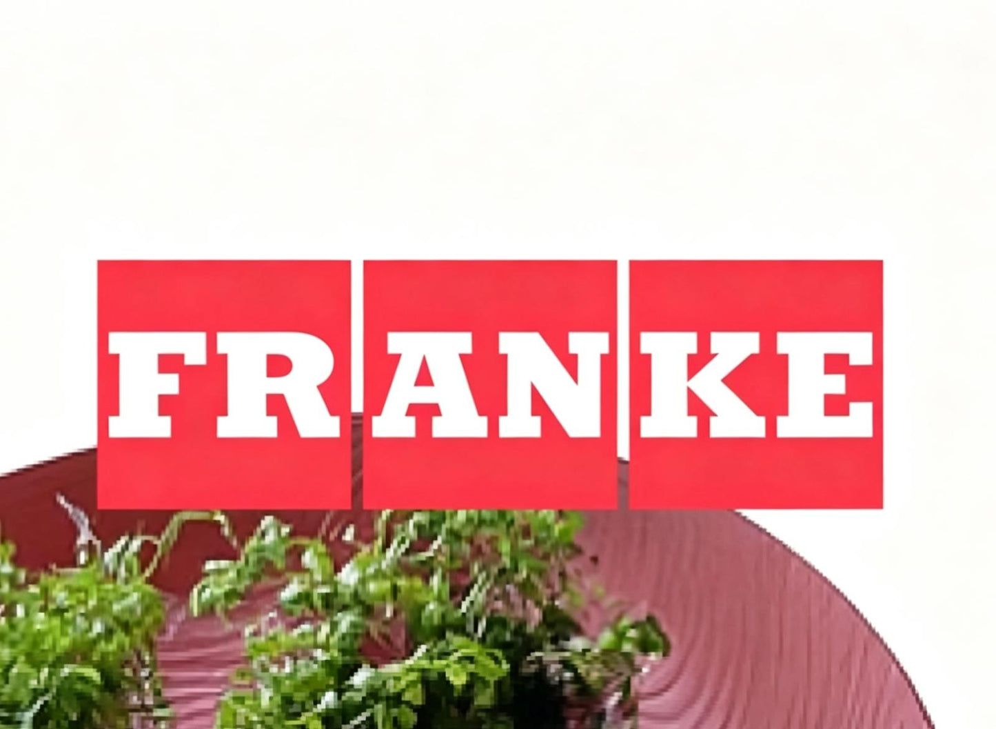 Franke Lina CT933C 廚房水龍頭 -20%😍