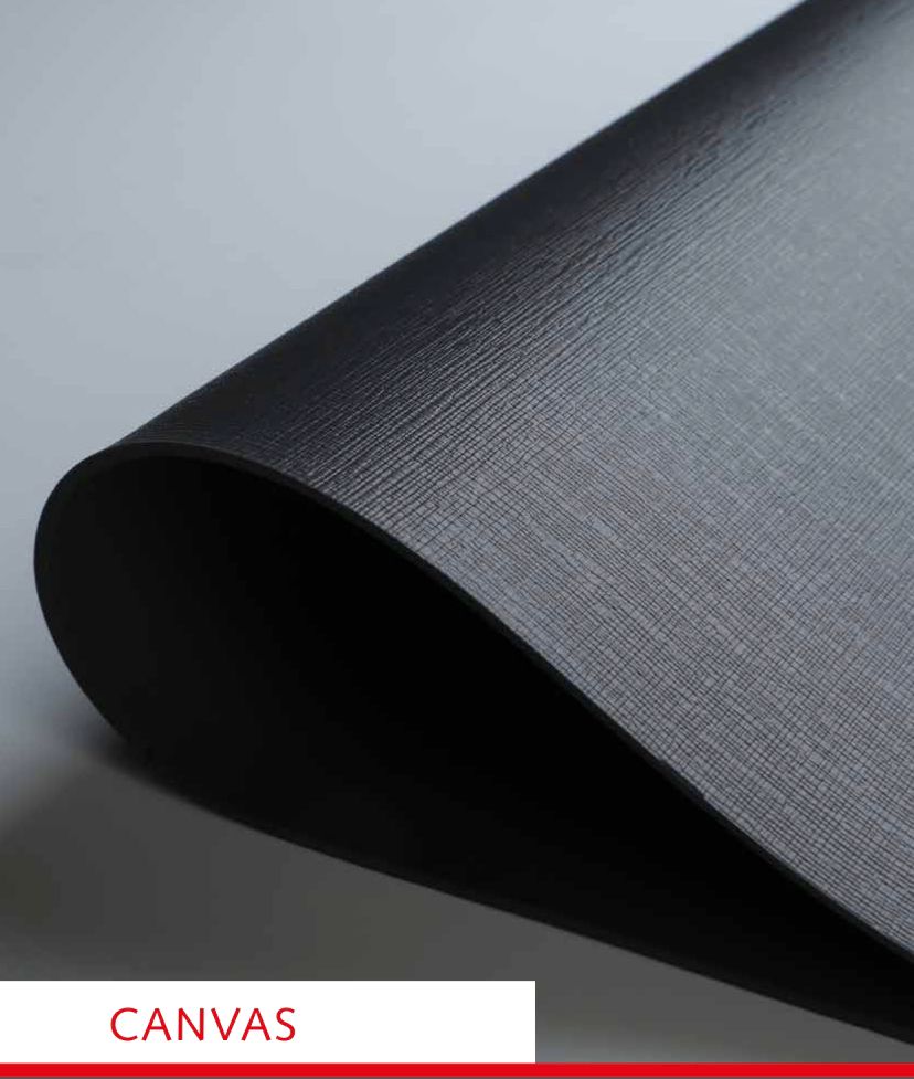 Germany AGOFORM CANVAS Non-Slip Mat (2 colours)